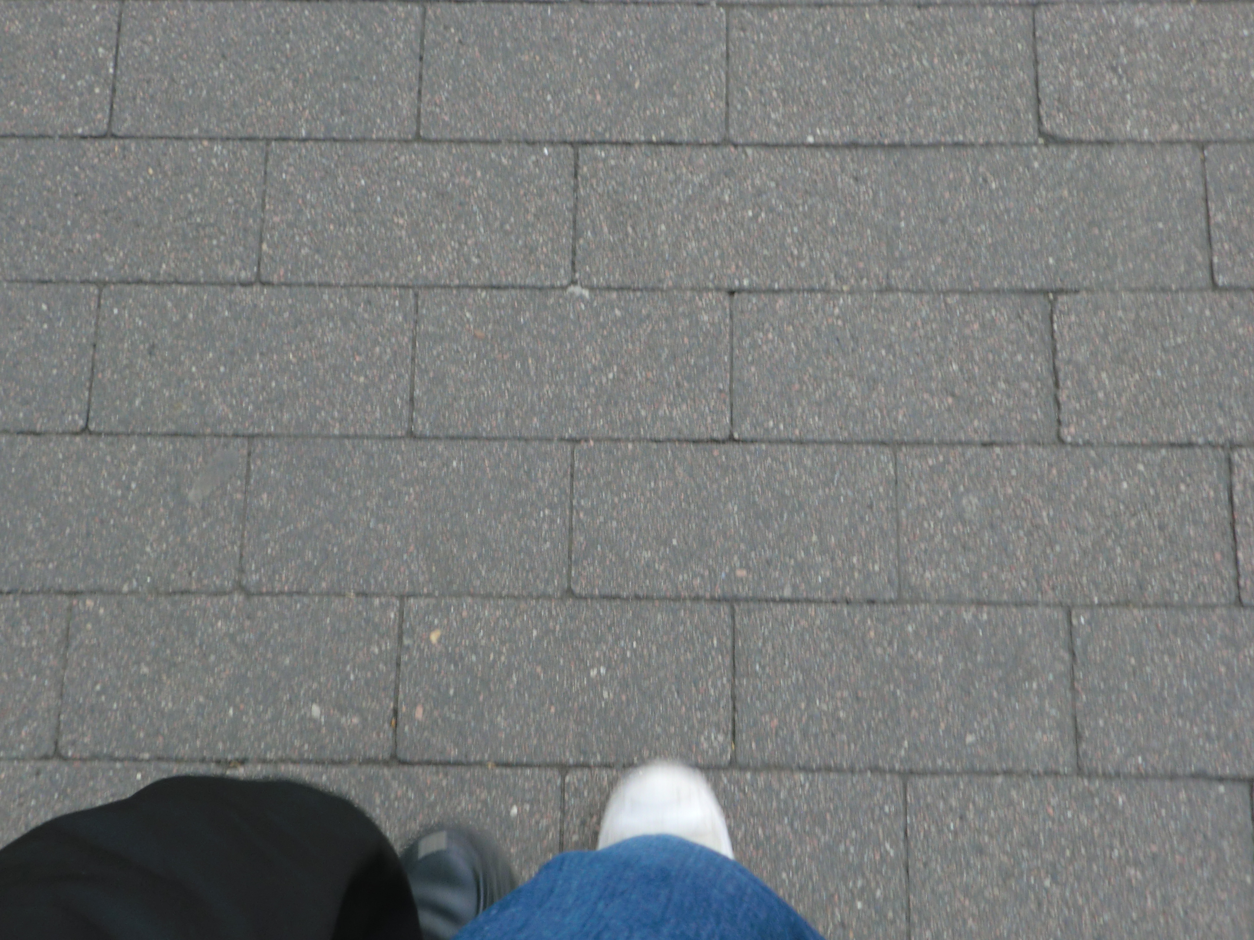 two legs by two people seen while walking 2