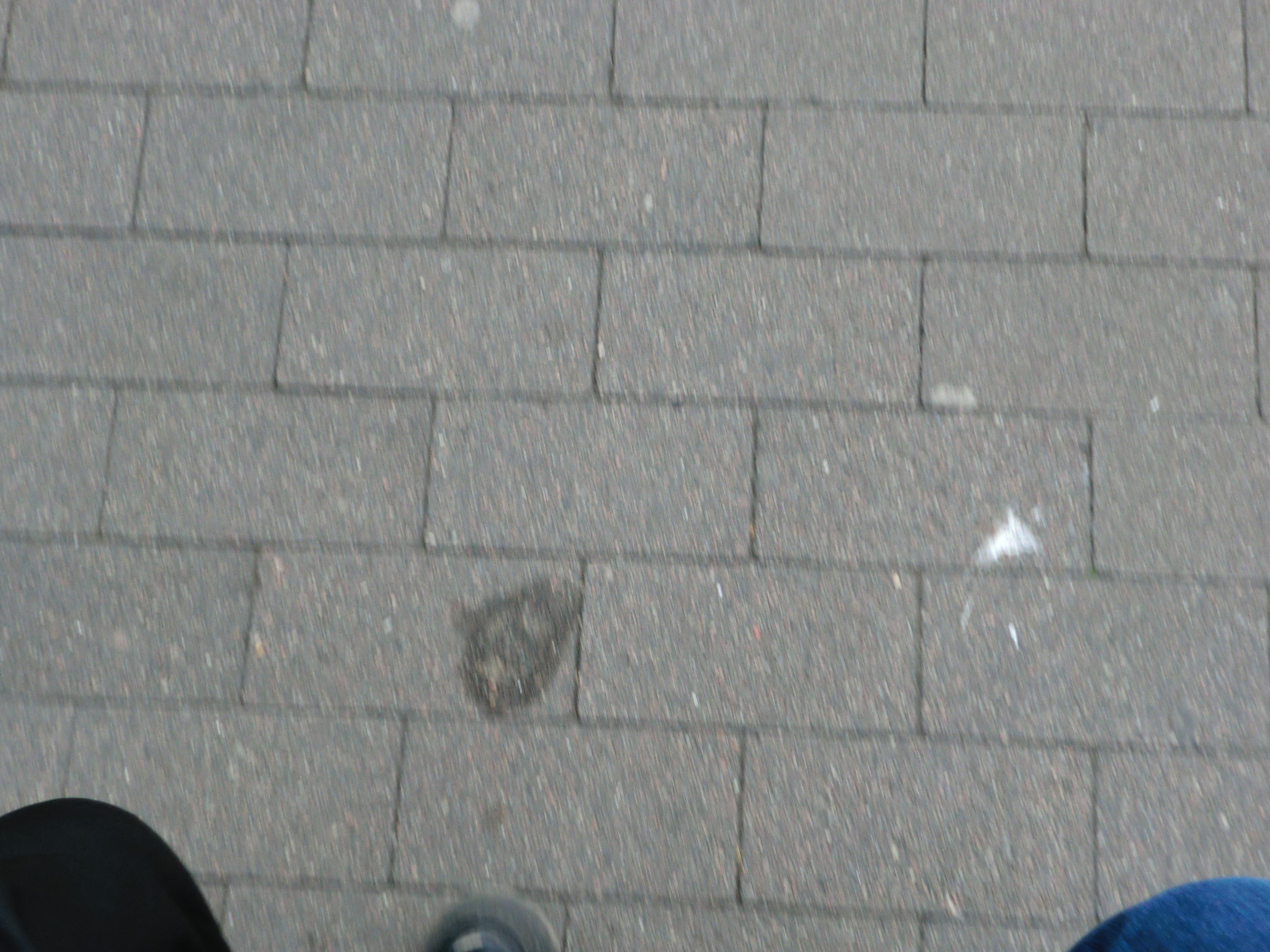 two legs by two people seen while walking 3